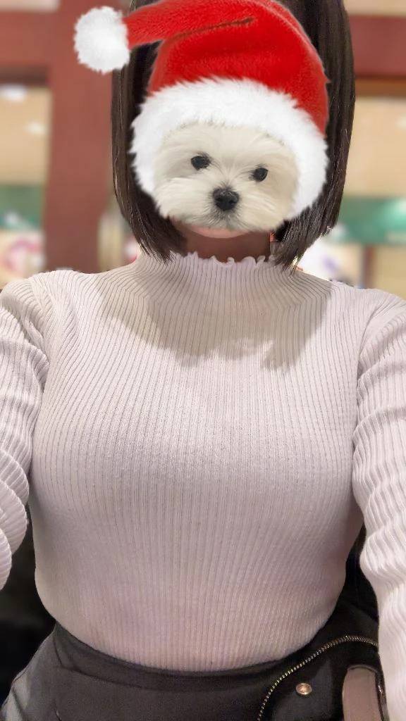 クリスマス風の顔隠しスタンプ🐶🎄笑