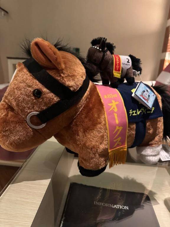 めちゃめちゃ嬉しい🥺