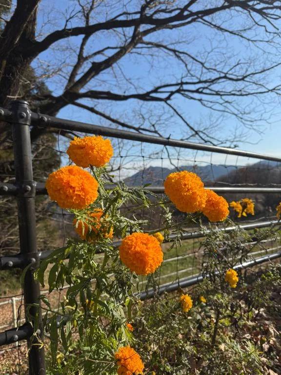 初出勤の日にち１１日に変わりました（ ;  ; ）