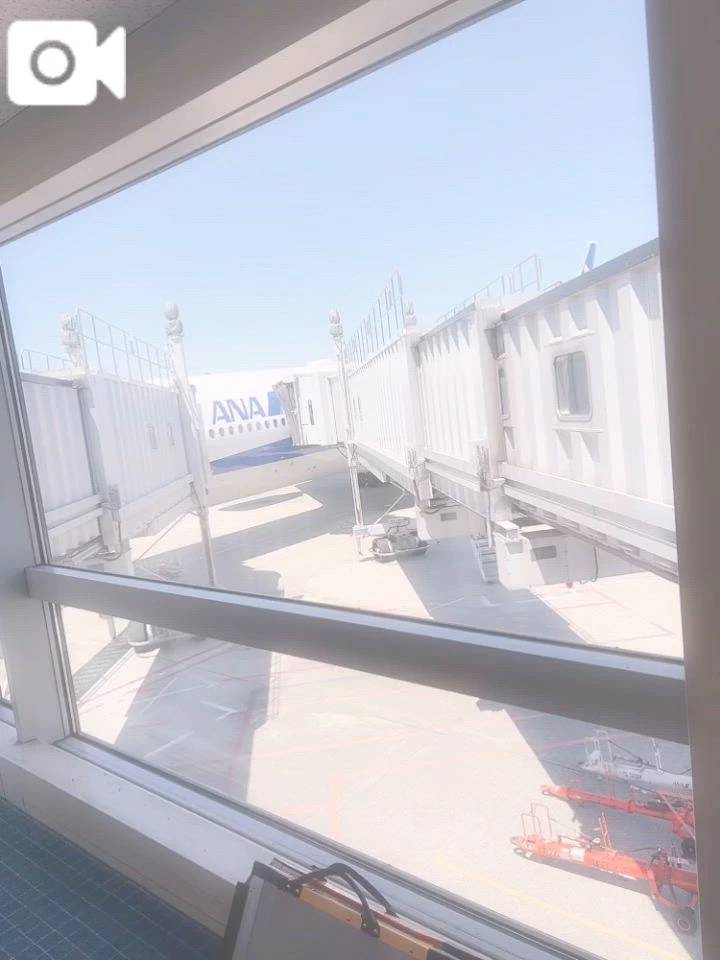 飛行機！✈️