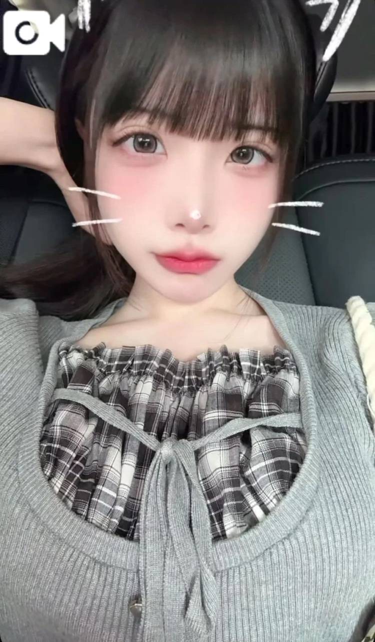 カメレオンタイプ