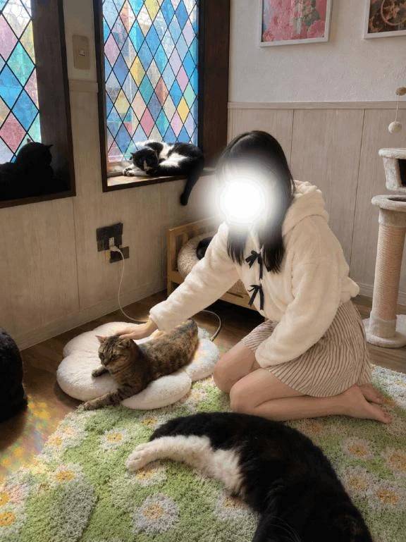 〇〇でお兄さまをムラムラさせるよ
