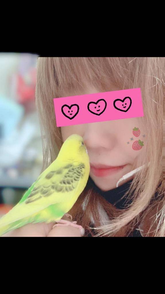 我が家の可愛いこ♡