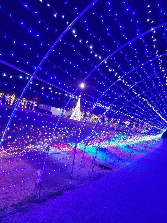 27日　ご本指Ａくん🩷