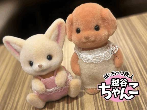 あいな(ぽっちゃり巨乳素人専門 埼玉越谷ちゃんこ)