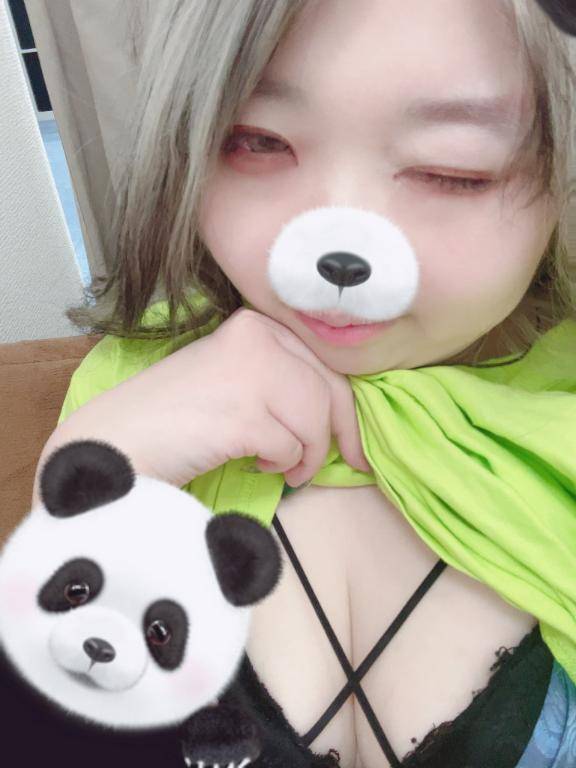 今日もいるよん