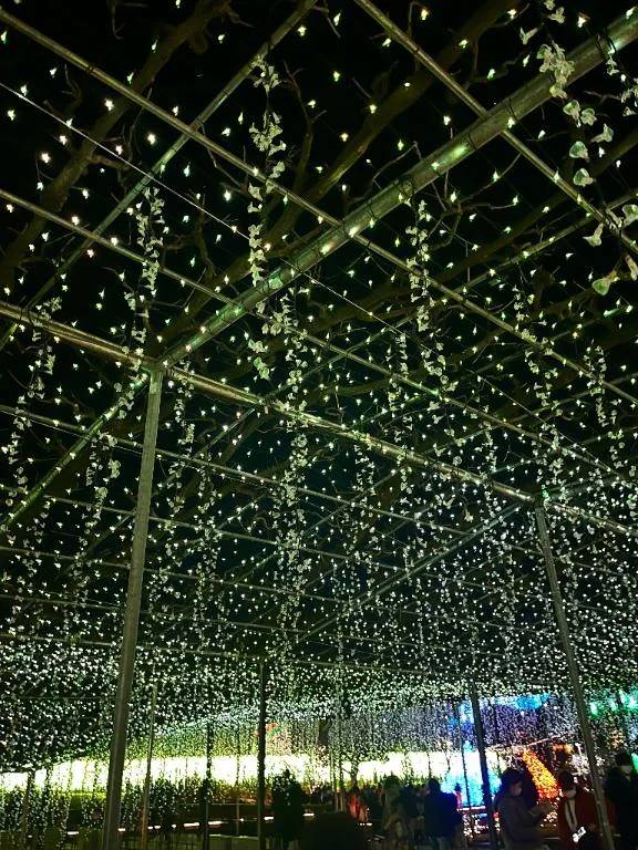 イルミネーション✨