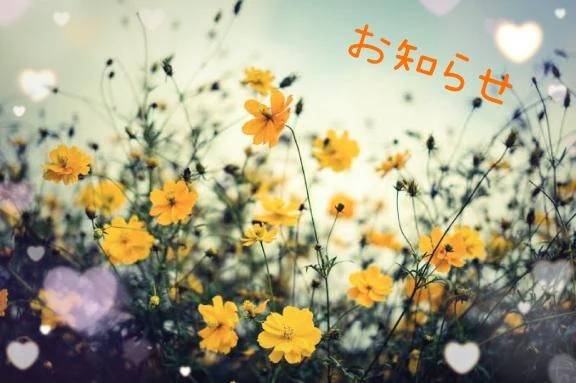 ごめんなさい💦