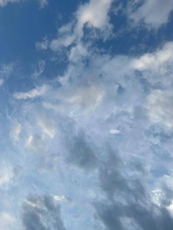 お礼🕊️