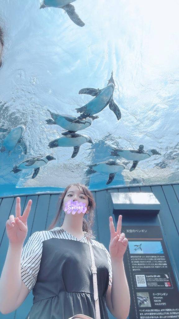すいすい( 〜'ω' )〜
