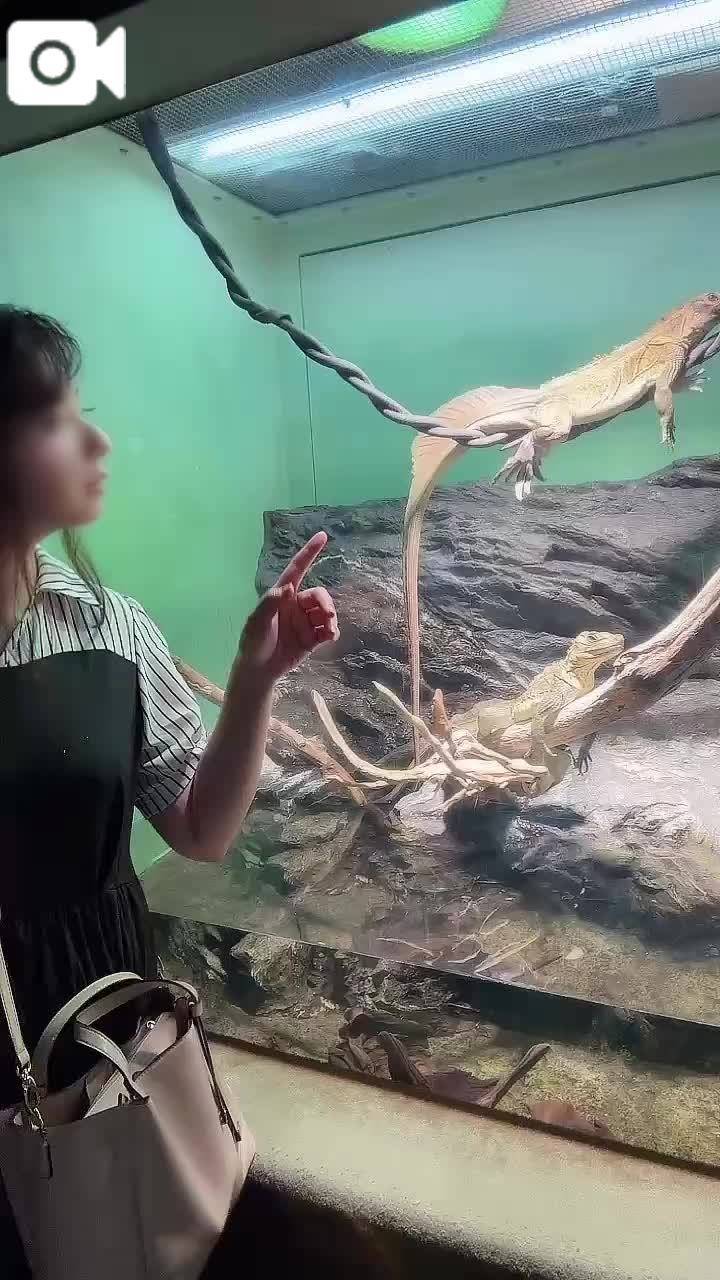 アクティブデート👫💓