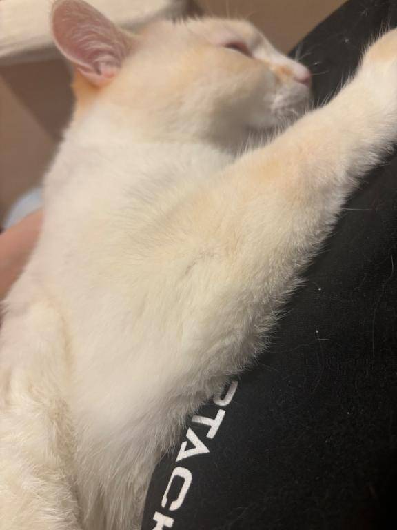 クチコミお礼💌♡