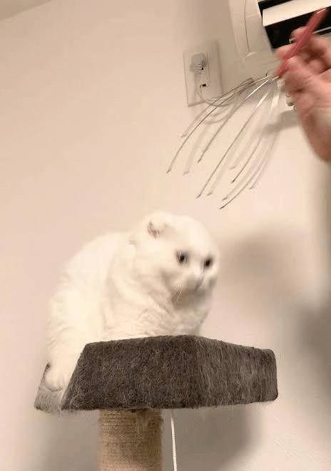【今日のお知らせ】