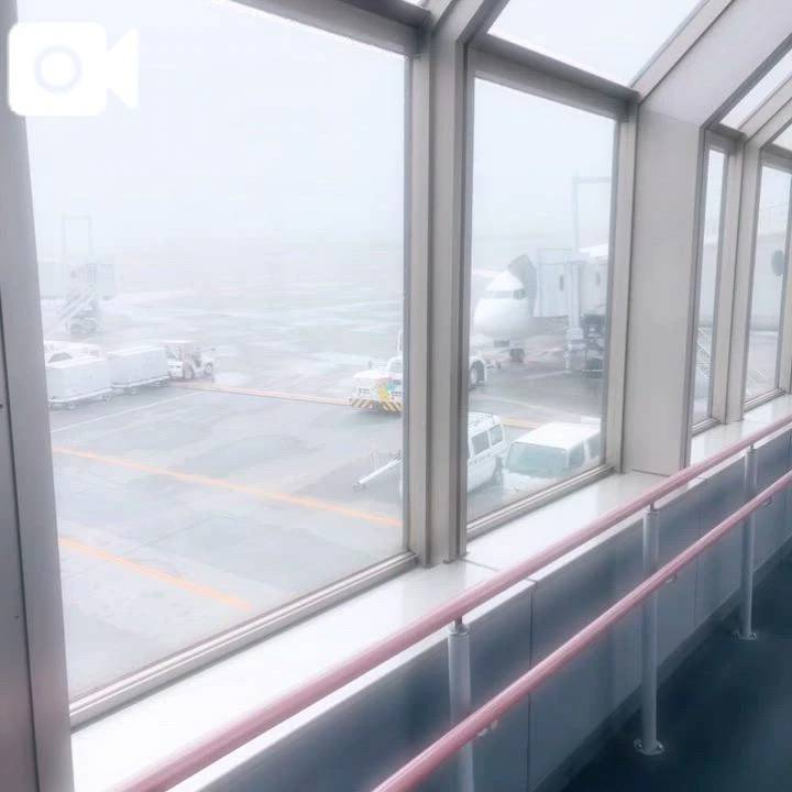 飛行機！
