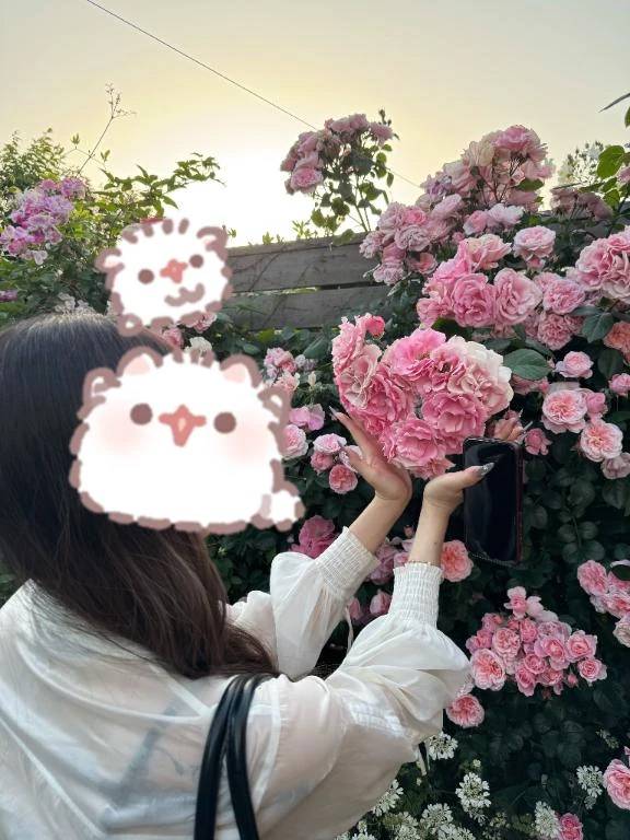 ハマりごと💭