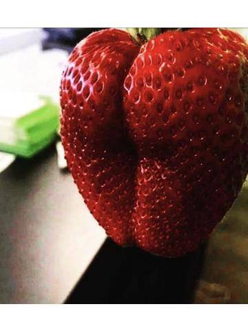 こんにちわ🍓