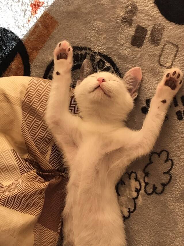 暑い！
