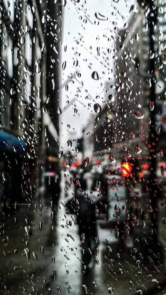 おはようございます^_^