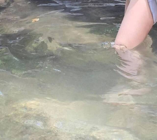 お疲れ様でした^_^