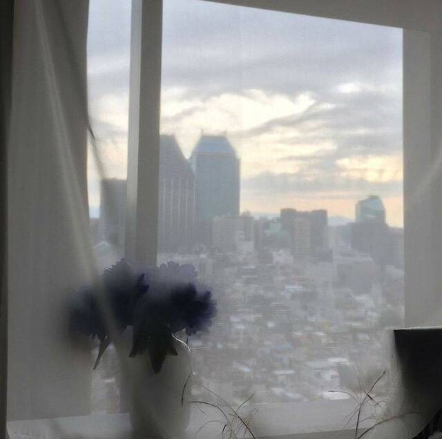 おはようございます^_^