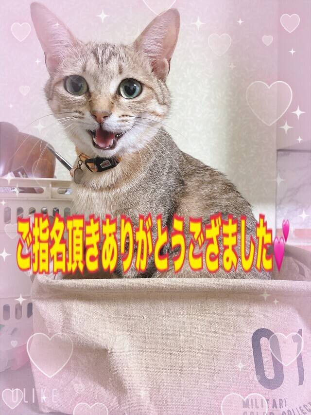 ご予約・ご指名💓
