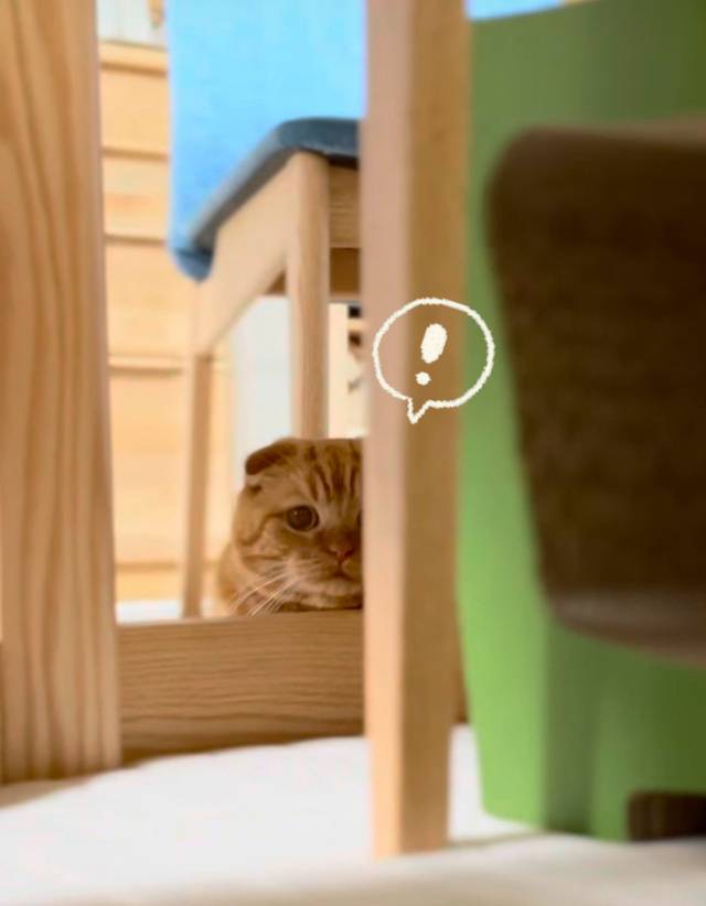 お礼🌺