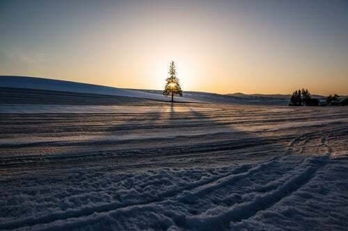 ありがとうございました^_^