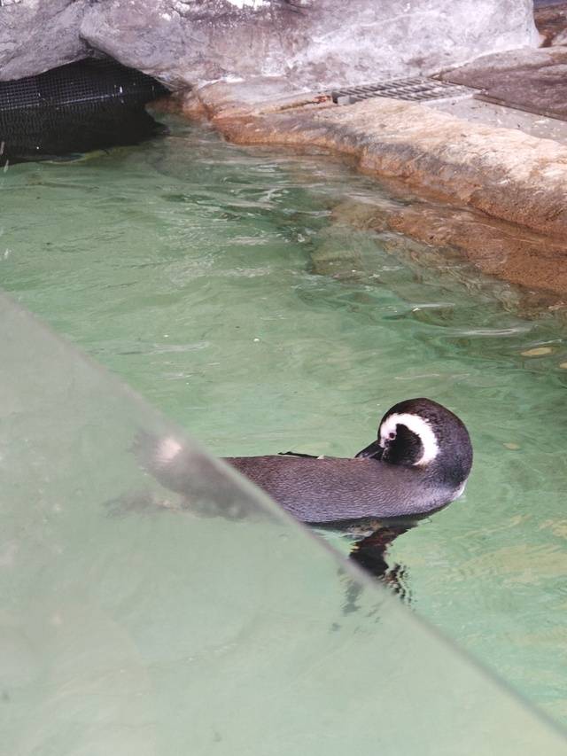 おはよございます