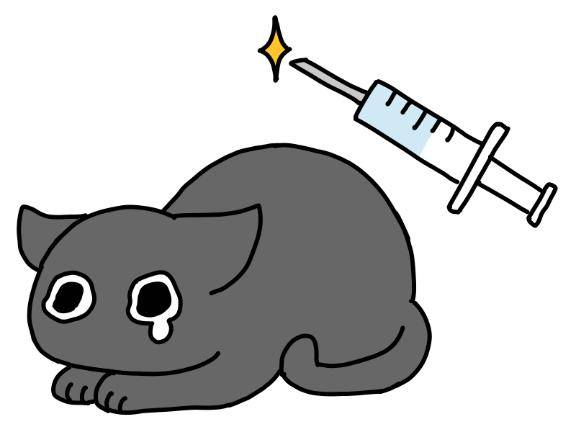 ようやくちゃんと晴れた??