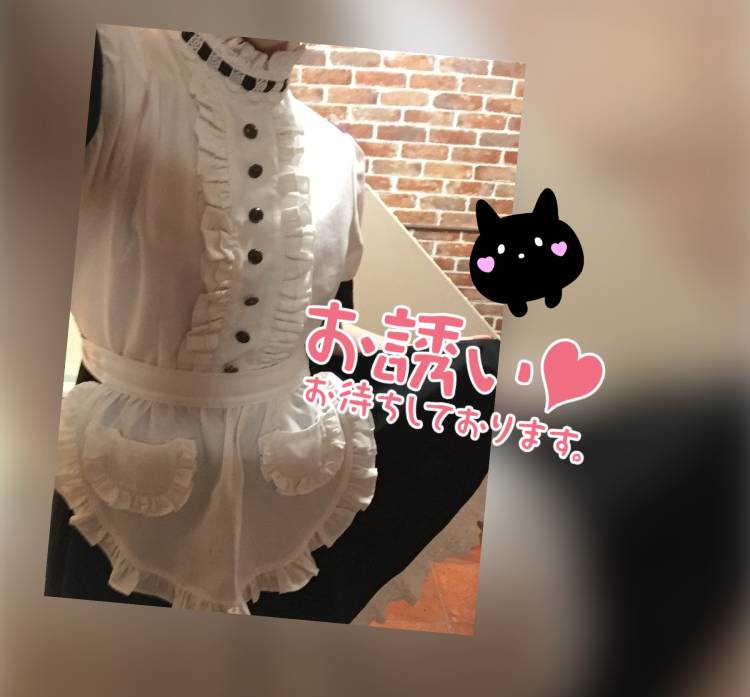 本日