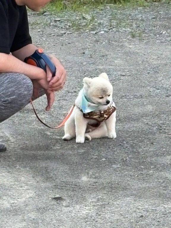 あつ~い?