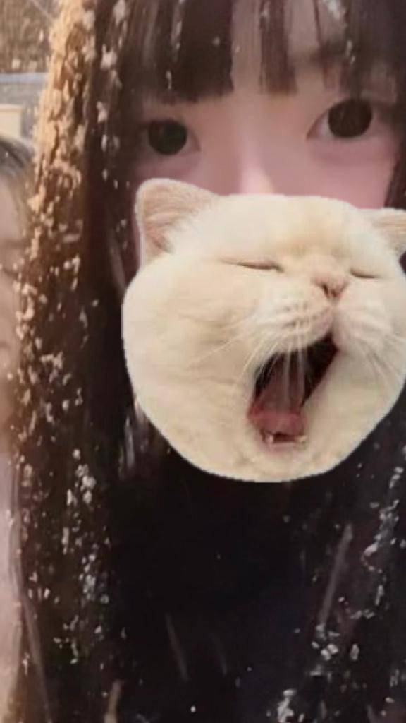 満枠＆マイガール200人ありがとうー！