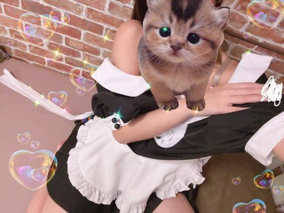 ほんじつ?