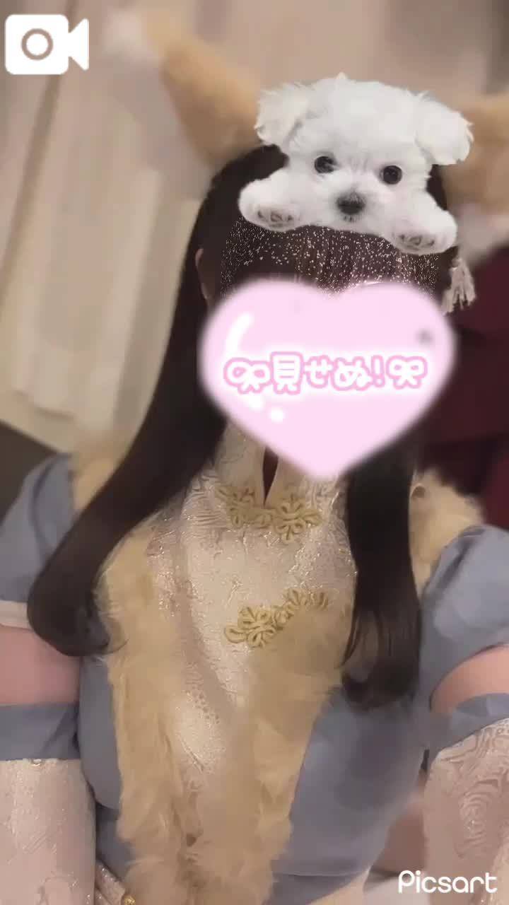 今日も追加しました♡