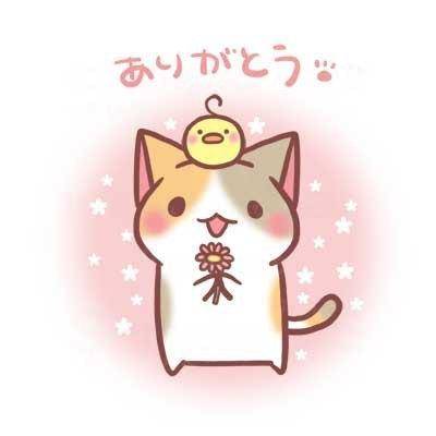 お礼🎀