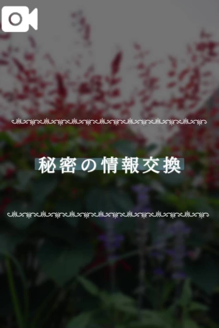 秘密の情報交換