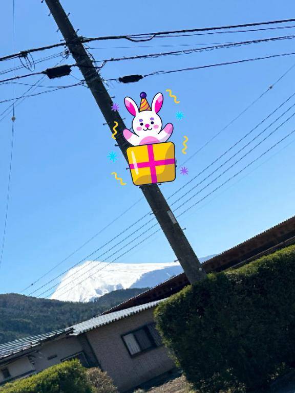 本文に写真🌷