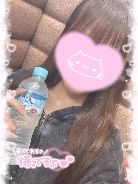 出勤してます🐈