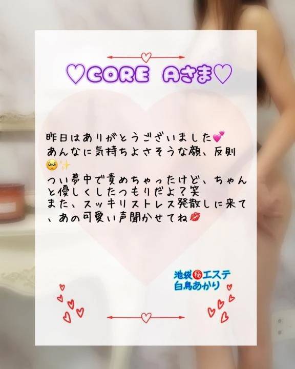 ♡CORE Aさま♡