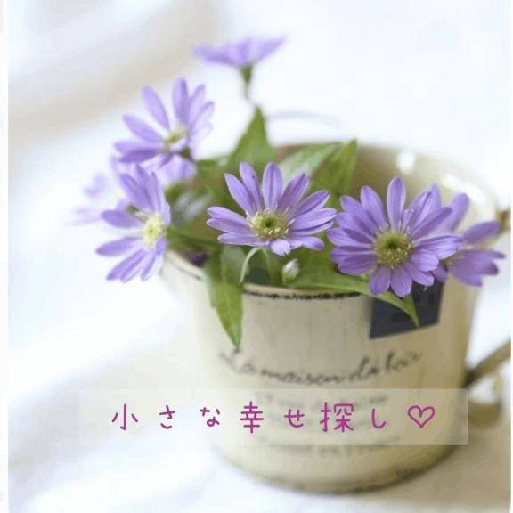 小さな幸せ♡