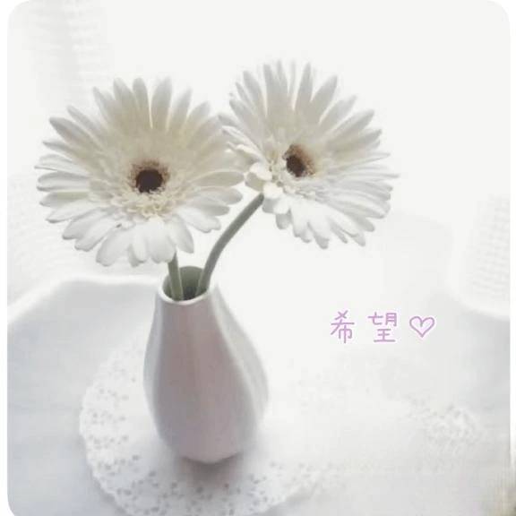 白い希望♡