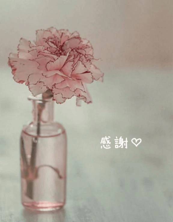 皆さまに感謝♡