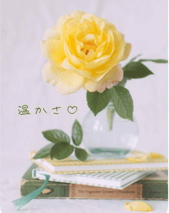 温かい気持ち♡