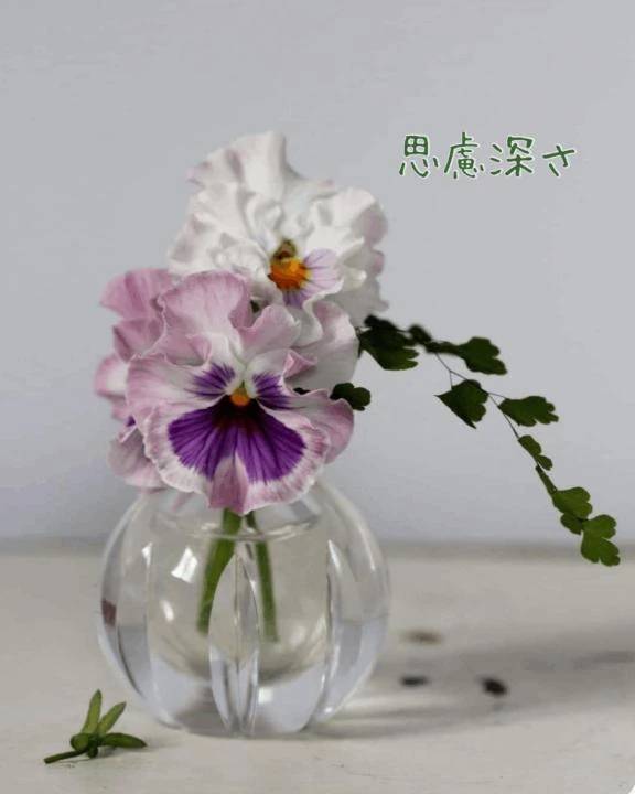 思慮深さを胸に🤍