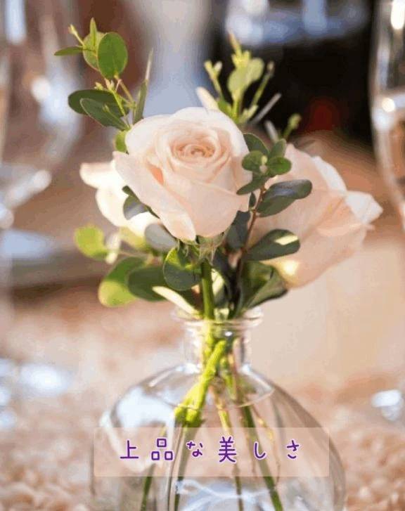 上品な美しさ♡