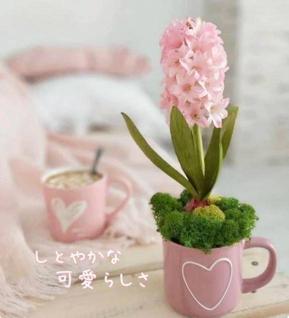 しとやかな可愛らしさ♡