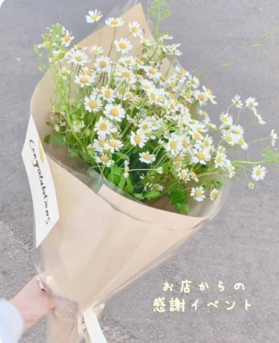 ちょっとお得なイベント🤭💗