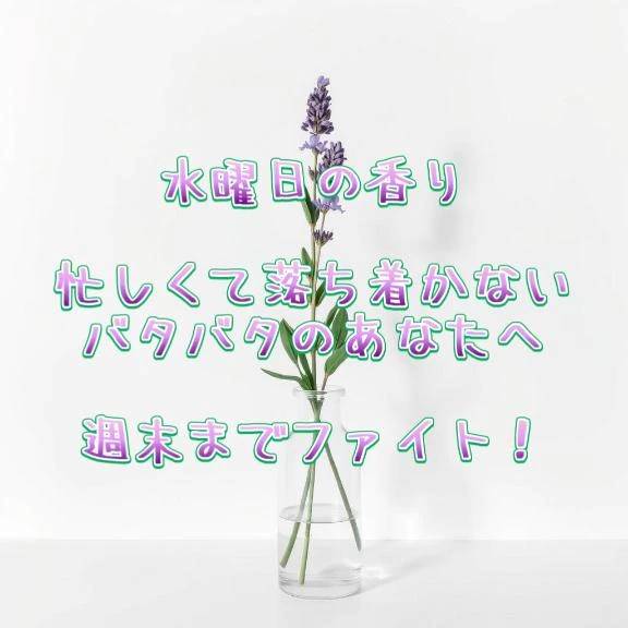 バタバタさんへ