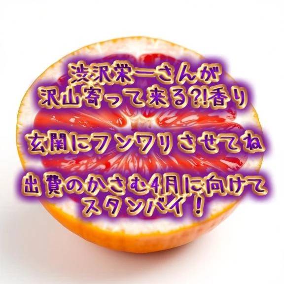 渋沢さんと仲良しさん