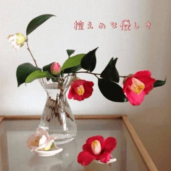 控えめな優しさ♡